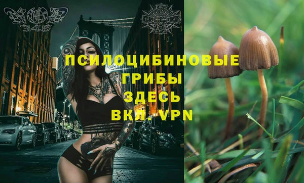 прущие грибы Алексин
