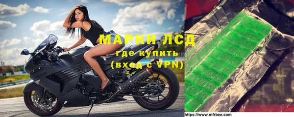 прущие грибы Алексин