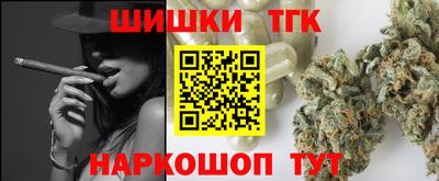 стаф Камышлов