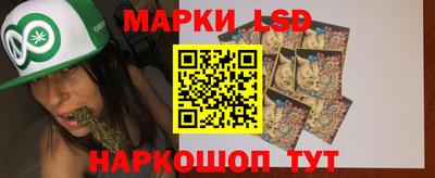 стаф Камышлов