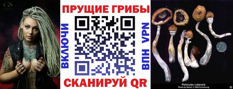 хочу наркоту  Люберцы  блэк спрут онион  Псилоцибиновые грибы ЛСД 