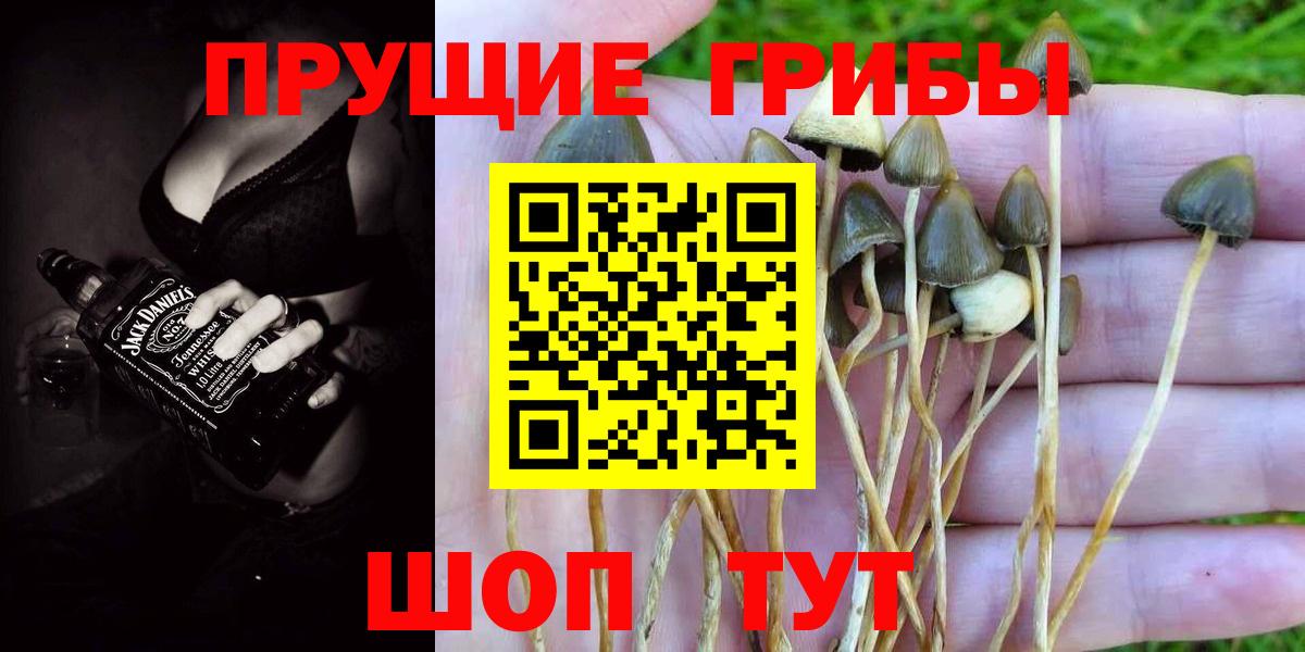 Галлюциногенные грибы прущие грибы  Вход с VPN  Люберцы  Галлюциногенные грибы мицелий 